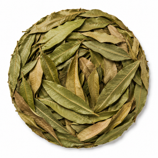 Bulk Mango Leaf Tea | Hojas de Mango Te 5 oz - 100% Natural & Aromatic Herbal Beverage - Makes 40+ Cups (Copy)