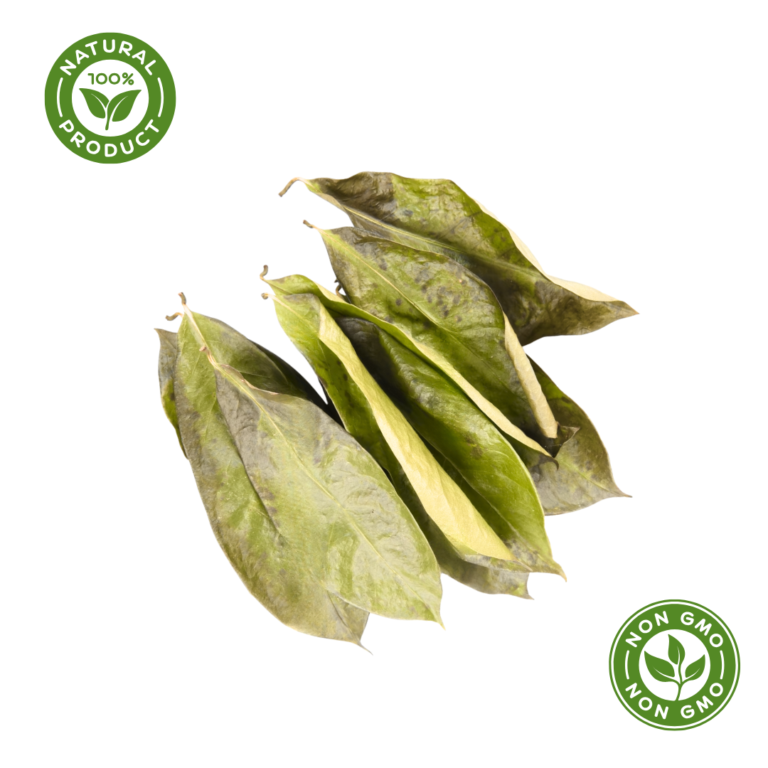 Kurandero -  Whole Dried Graviola Soursop Leaves (4 oz - 330+ Leaves Per Bag) Hoja De Guanabana, 100% All Natural Delicious Fresh Tea | From Mexico | Premium Wildcrafted Quality.