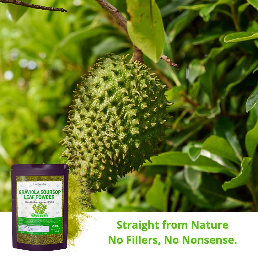 Herbalista -  Pure Soursop Leaf Powder - 100% Natural Graviola (Hoja de Guanábana) | Gluten-Free, Sugar-Free, Vegan, No Additives | Premium Quality, Product of Mexico