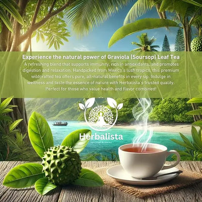 Herbalista Graviola Soursop Herbal Tea (4 oz | 350+ Leaves)