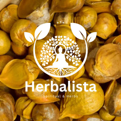 Herbalista Japanese Garlic (Ajo Japones)