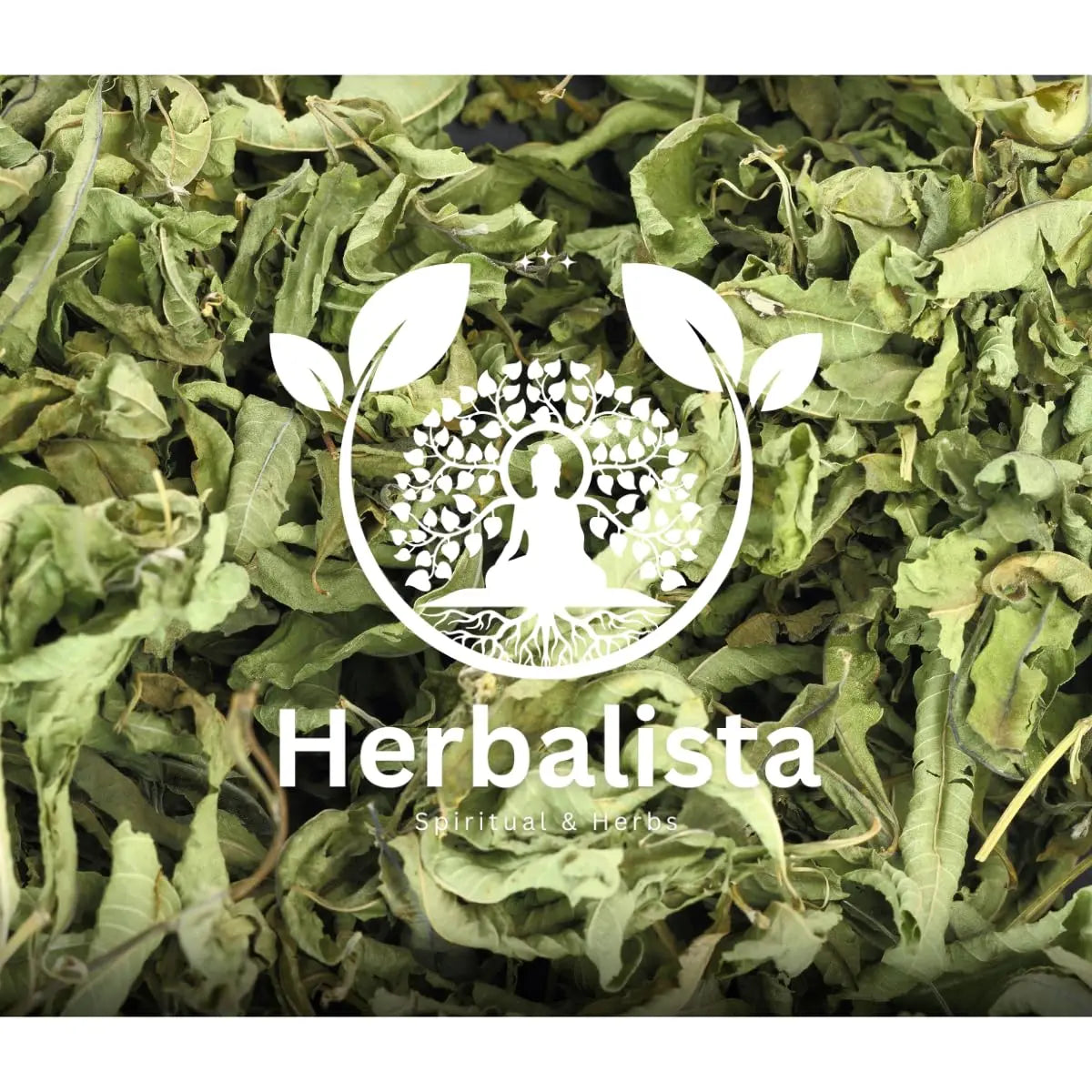 Lemon Verbena (Cedrón) Tea 4oz – Loose Leaf