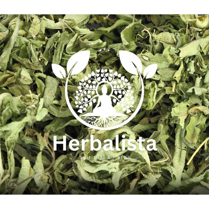 Lemon Verbena (Cedrón) Tea 4oz – Loose Leaf