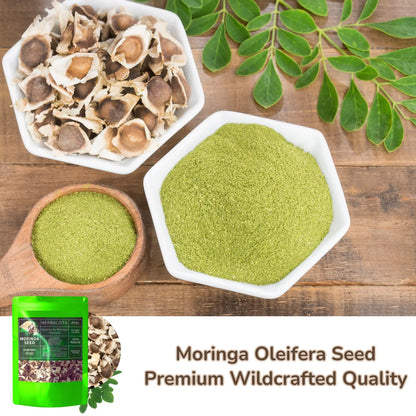 Moringa Seeds | 8oz (226g) Approx. 800+ Seeds