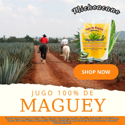 Jugo De Maguey Michoacano 400ml (13.5 Fl Oz)