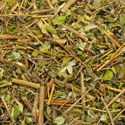 Herbalista Premium Moronel Loose Leaf Tea