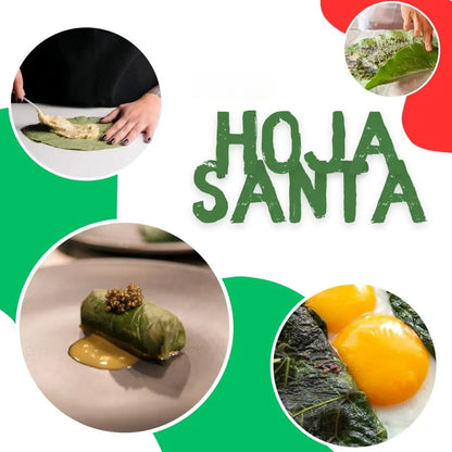 Yerbero Whole Hierba Santa Leaves 1.05 oz (30g)