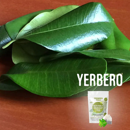 Yerbero Whole Graviola (Soursop) Leaves (4oz - 300+ Leaves Per Bag)