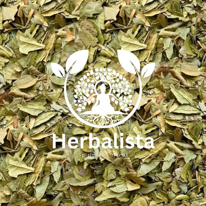 Herbalista Boldo Loose Leaf Herbal Tea 4 oz (114g)
