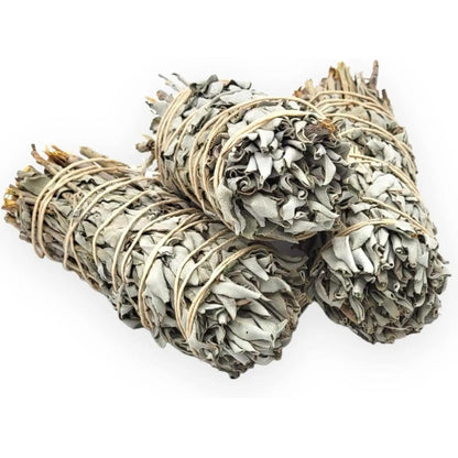 Yerbero California White Sage 3-Pack 5 Inch