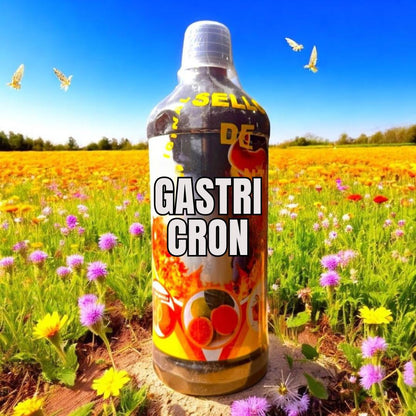 GastriCron Herbal Juice Tonic 1L (33.3Fl Oz)