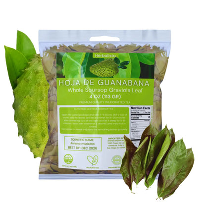 Premium Guanabana Soursop Leaves (4 oz | 300+ Leaves)