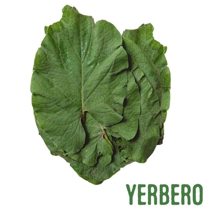 Yerbero Whole Hierba Santa Leaves 1.05 oz (30g)