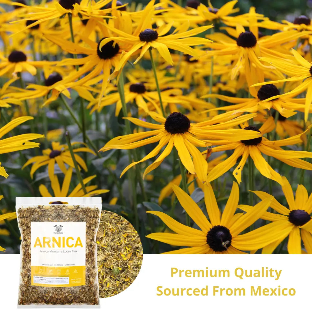 Herbalista Arnica Montana Leaf Tea 4 oz (114g)