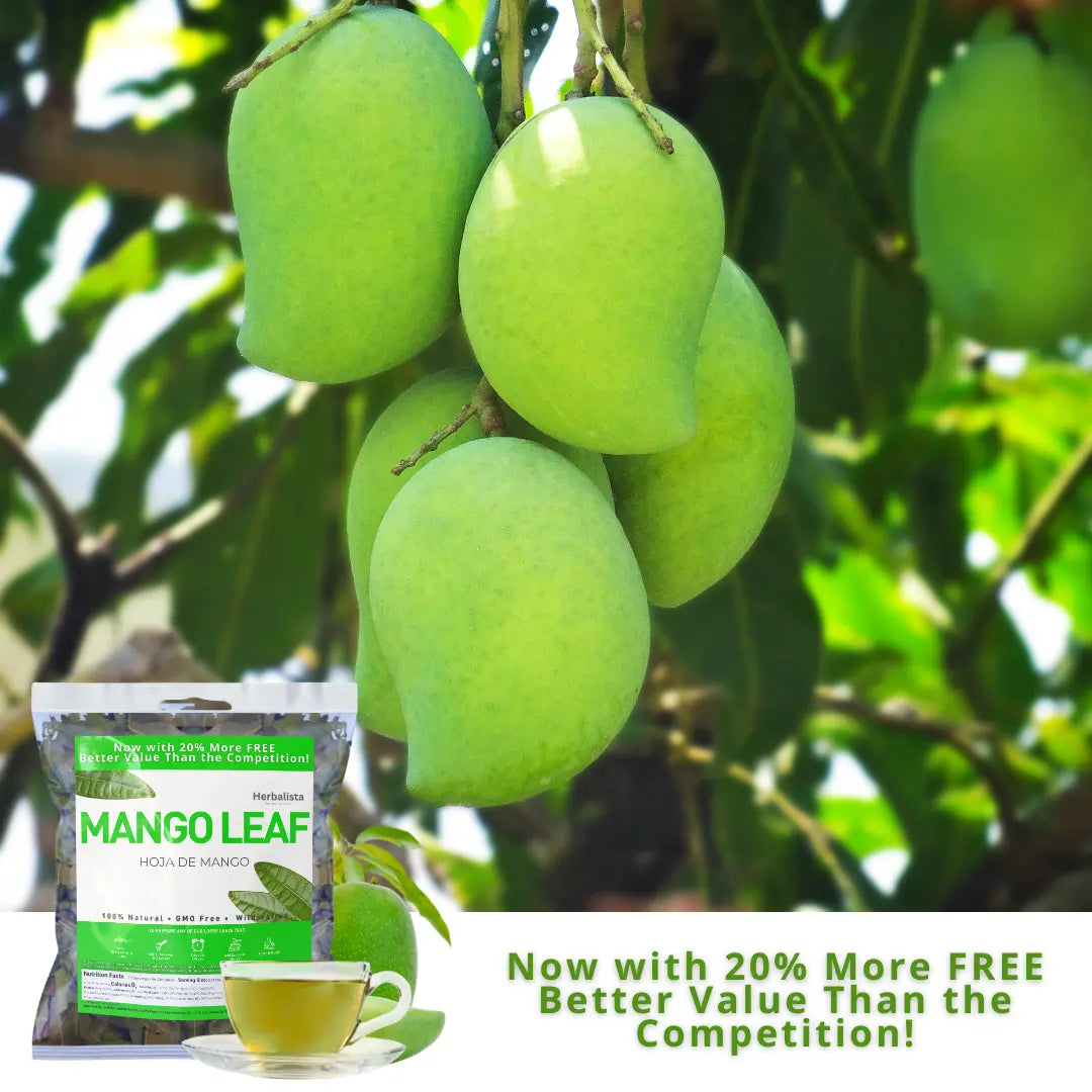 Wildcrafted Mango Leaf Tea (Hoja de Mango) 5oz
