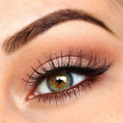 J. Denis Eyebrow Design Kit 4 Brushes 30 Applications