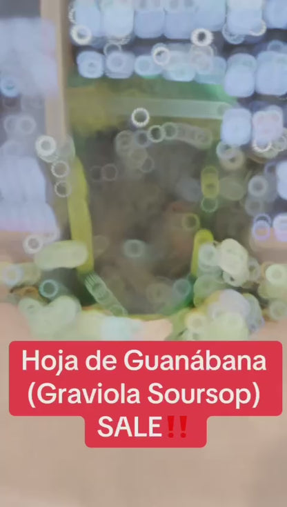 Premium Guanabana Soursop Leaves (4 oz | 300+ Leaves)